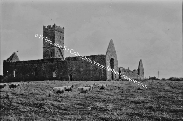 CLARE ABBEY FROM NORTH WEST